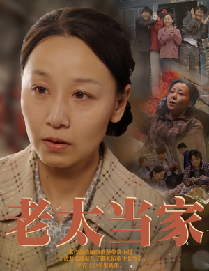 老太当家（60集）口碑之选免费看